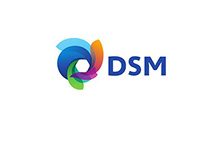 DSM